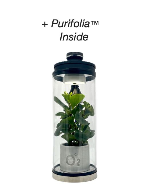Oxyvest™