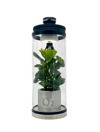 PuriFolia™ - Filter cylinder